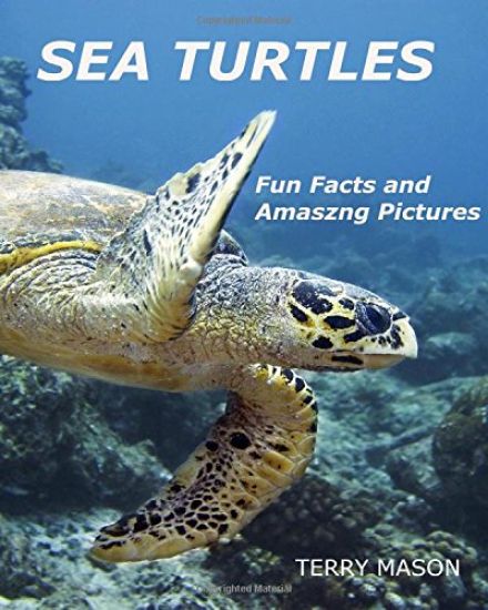Sea Turtles: : Fun Facts and Amazing Pictures