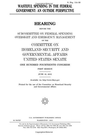Wasteful spending in the federal government: an outside perspective