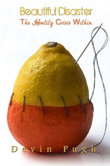 Beautiful Disaster: The Identity Crisis Within