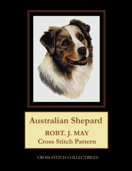 Australian Shepard
