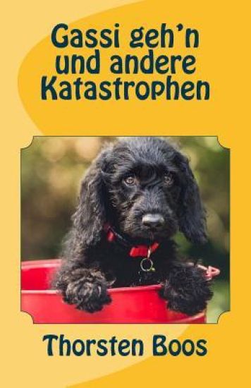 Gassi geh'n und andere Katastrophen