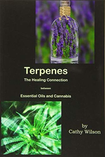 Terpenes, The Healing Connection Between Essential Oils and Cannabis