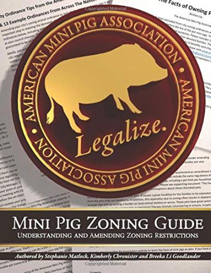 Mini Pig Zoning Guide: Understanding & Amending Zoning Restrictions