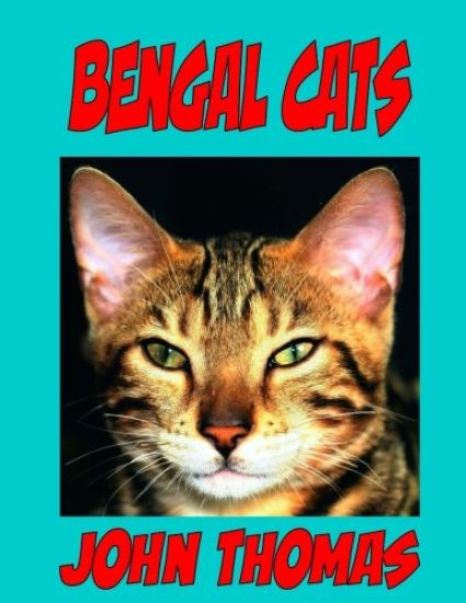 Bengal Cats: How to Communicate With Your Cat