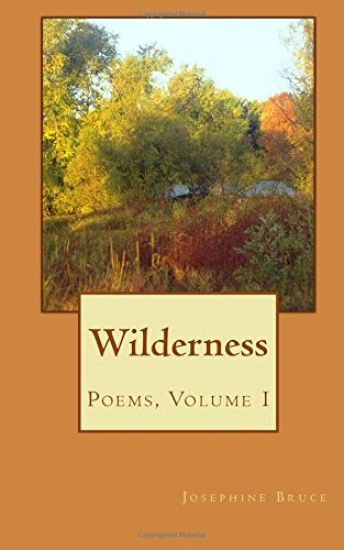 Wilderness: Poems, Volume I