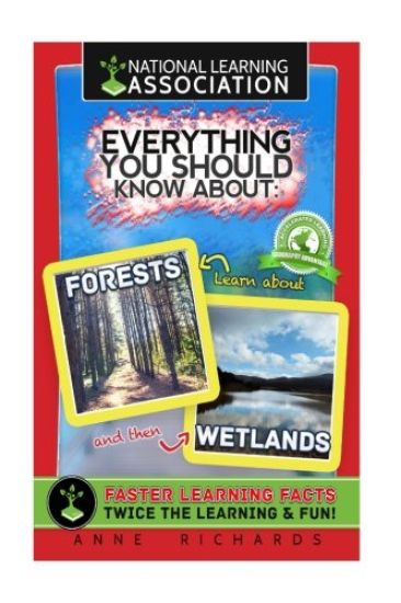 Everything You Should Know About Forests and Wetlands