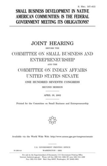 Small business development in Native American communities: is the federal government meeting its obligations?