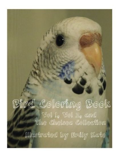 Bird Coloring Book: Vol 1, Vol 2, and "The Chelsea Collection"