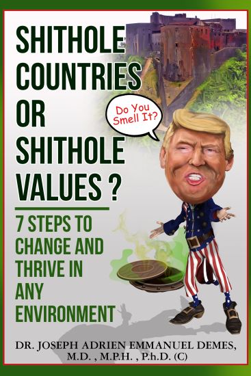 Shithole Countries Or Shithole Values?: 7 Steps to Change and Thrive in Any Environment