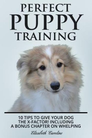Perfect Puppy Training