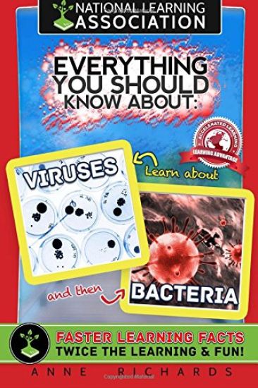 Everything You Should Know About Viruses and Bacteria