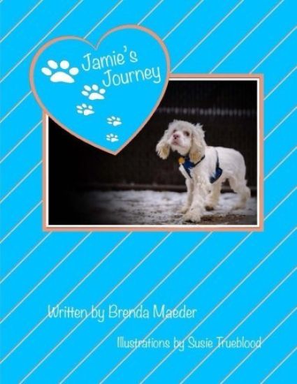 Jamie's Journey