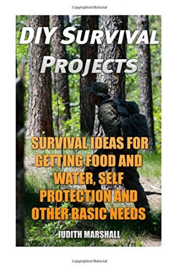DIY Survival Projects: Survival Ideas For Getting Food and Water, Self Protection And Other Basic Needs