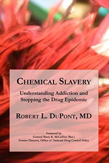 Chemical Slavery: Understanding Addiction and Stopping the Drug Epidemic