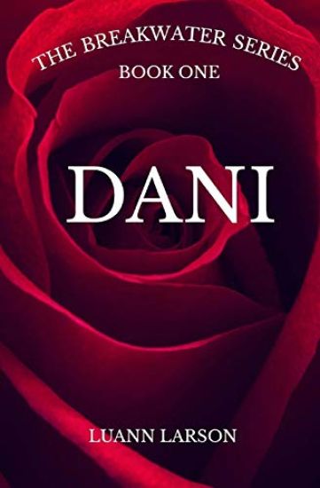 The Breakwater Series Book One Dani