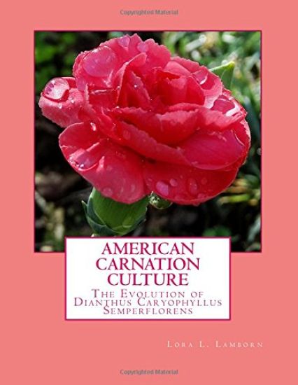 American Carnation Culture: The Evolution of Dianthus Caryophyllus Semperflorens