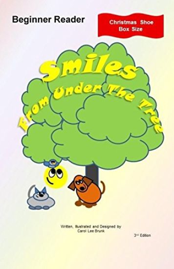 Smiles From Under The Tree: Christmas Shoe Box Size