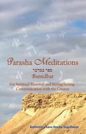 Parasha Meditations: Bamidbar - Visualizing our Lives' Journeys: For Spiritual Renewal and Strengthening Communication with the Creator