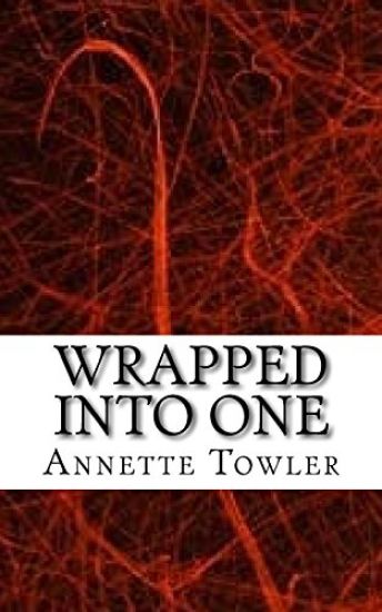 Wrapped into One: Collection of Limericks