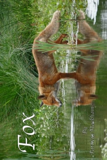 Fox: Grayscale Adult Coloring Book