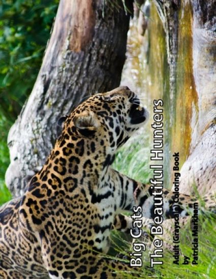 Big Cats: The Beautiful Hunters