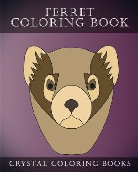 Ferret Coloring Book: 30 Simple Hand Drawn Easy Line Sketch Ferret Coloring Pages.
