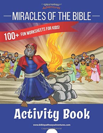 Miracles of the Bible Activity Book