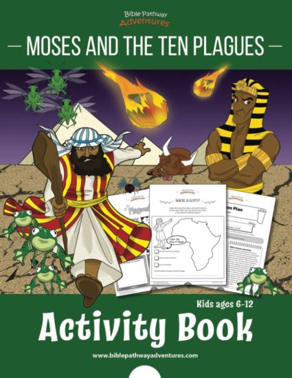 Moses and the Ten Plagues Activity Book