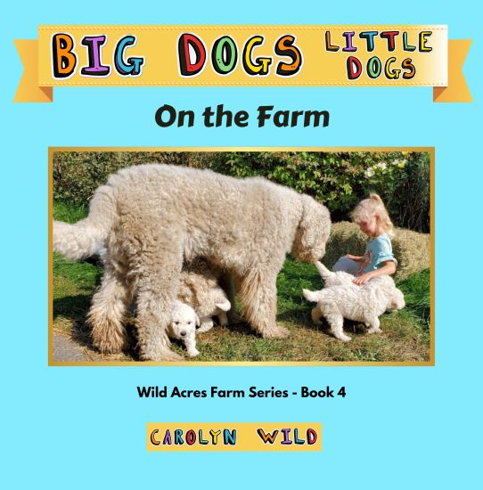 Big Dogs Little Dogs