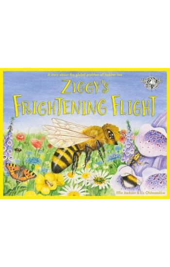 Ziggy's Frightening Flight