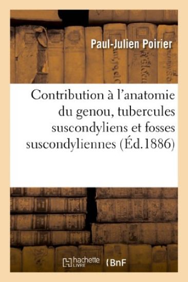 Contribution À l'Anatomie Du Genou, Tubercules Suscondyliens Et Fosses Suscondyliennes Du Fémur