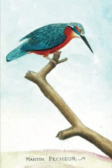 Carnet Ligné Martin Pêcheur, Dessin 18e Siècle