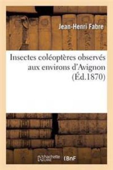 Insectes Coléoptères Observés Aux Environs d'Avignon