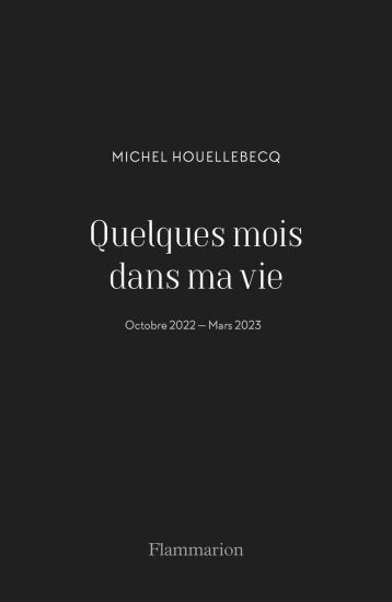 Kansikuva: Quelques mois dans ma vie