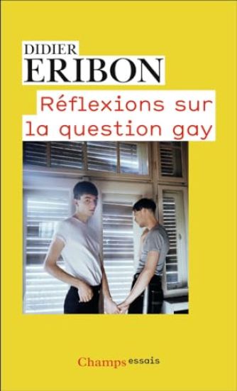 Réflexions sur la question gay