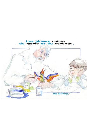 Les plumes noires du merle et  du corbeau