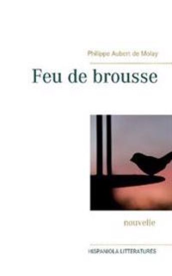 Feu de brousse