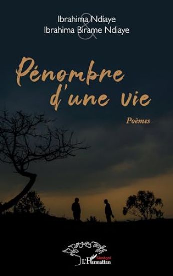 Pénombre d¿une vie
