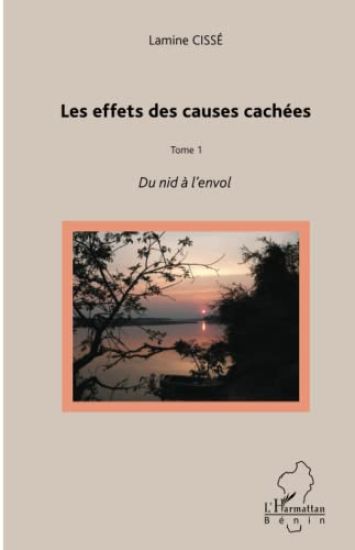 Les effets des causes cachées