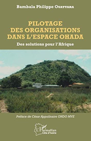 Pilotage des organisations dans l'espace OHADA