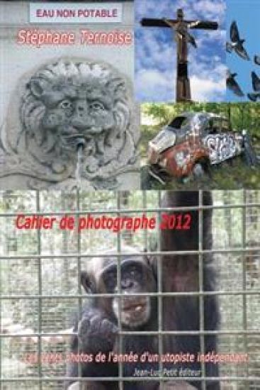 Cahier de photographe 2012: Les cents photos de l'année d'un utopiste indépendant