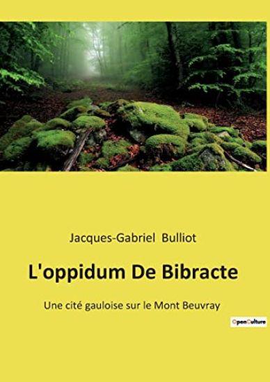 L'oppidum De Bibracte