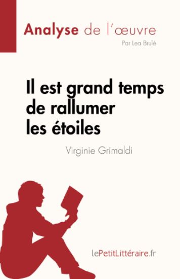 Il est grand temps de rallumer les étoiles de Virginie Grimaldi (Analyse de l'oeuvre)