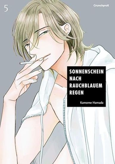 Sonnenschein nach rauchblauem Regen - Band 5