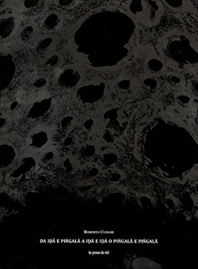 Roberto Cuoghi: da ida e piñgala a ida e ida o piñgala e piñgala