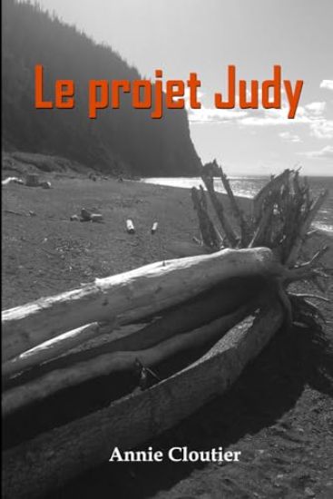 Le projet Judy