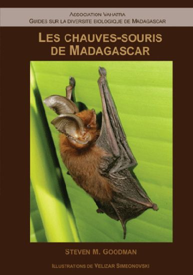 Les Chauves–Souris de Madagascar