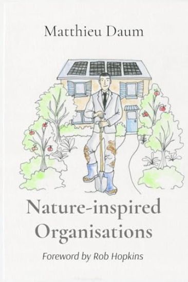 Nature-inspired Organisations