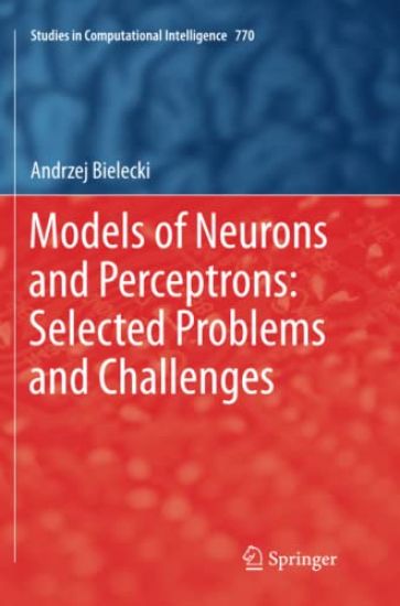 Models of Neurons and Perceptrons: Selected Problems and Challenges