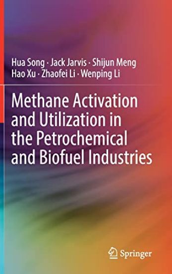 Methane Activation and Utilization in the Petrochemical and Biofuel Industries